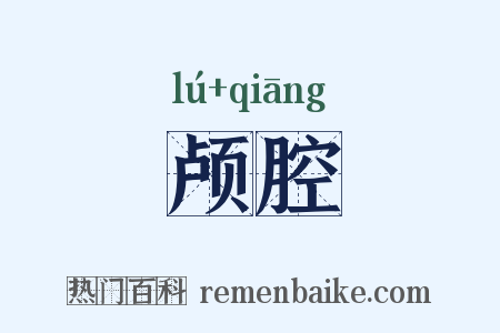 颅腔是什么意思的图片